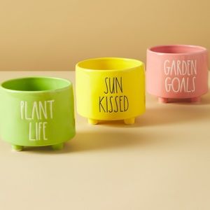 RAE DUNN 3pk Plant Life Planters